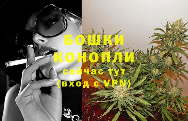 соль ск Осинники