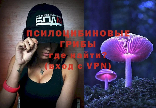 соль ск Осинники