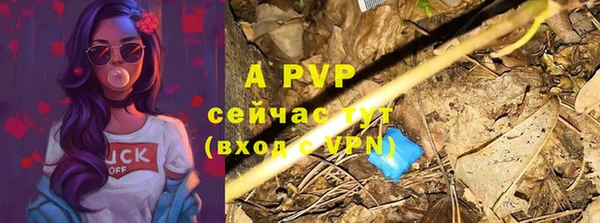 ГАЛЛЮЦИНОГЕННЫЕ ГРИБЫ Остров