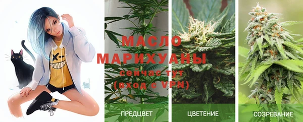 гидропоника Пересвет