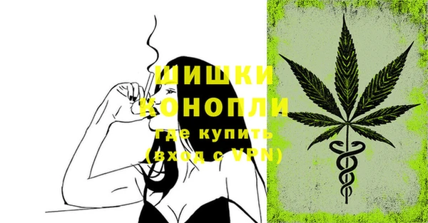 соль ск Осинники