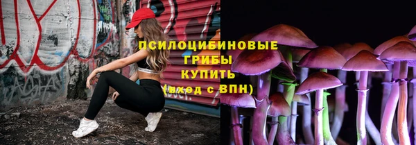 спиды Пестово