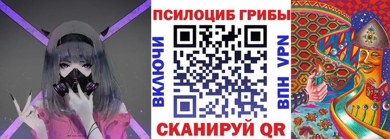 где можно купить наркотик  Сольвычегодск  Галлюциногенные грибы мицелий 